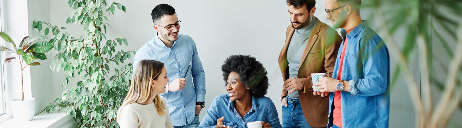 Coworkers meet around a conference table.